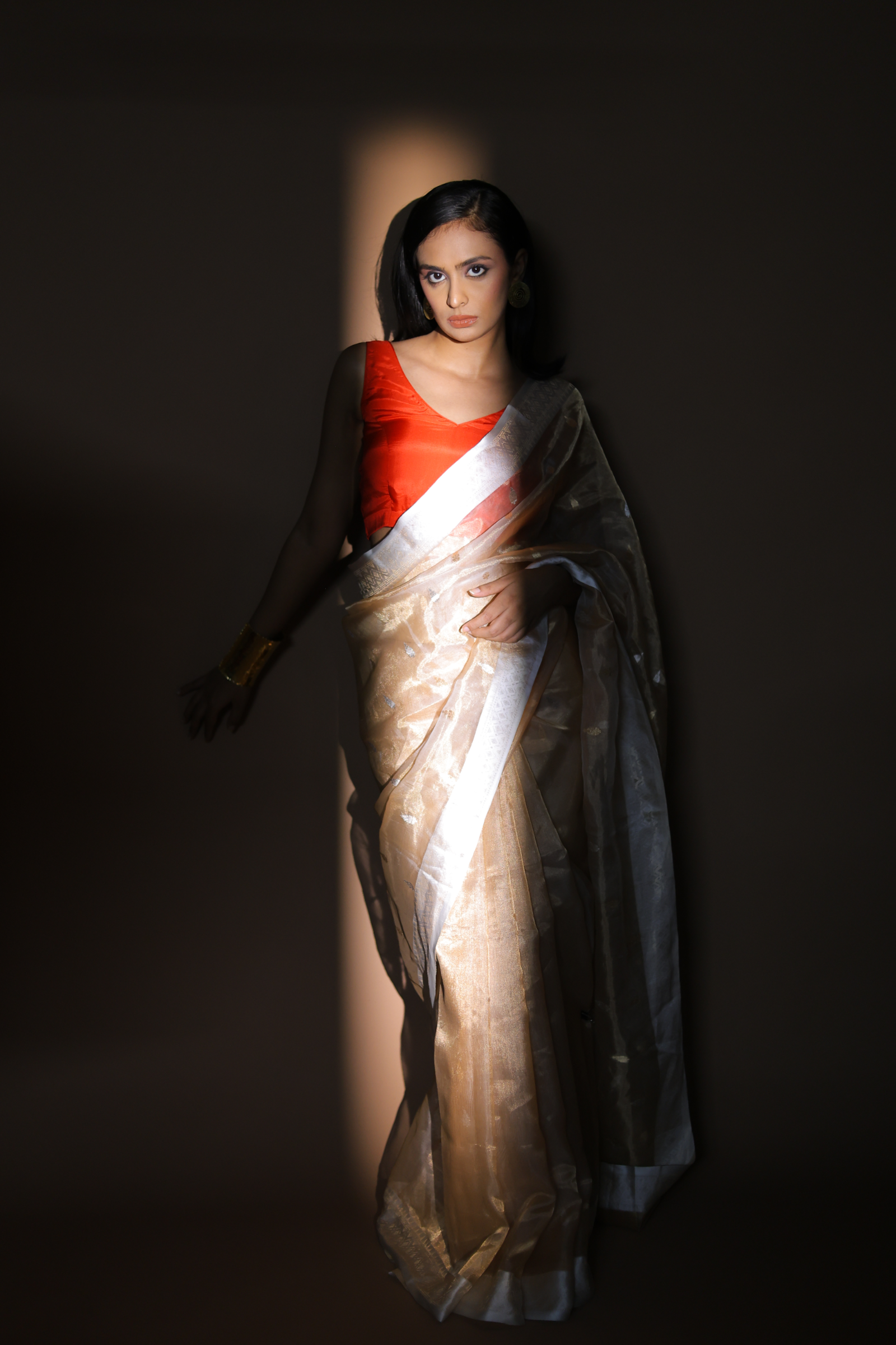 Banarasi Handwoven Tissue Organza Sari