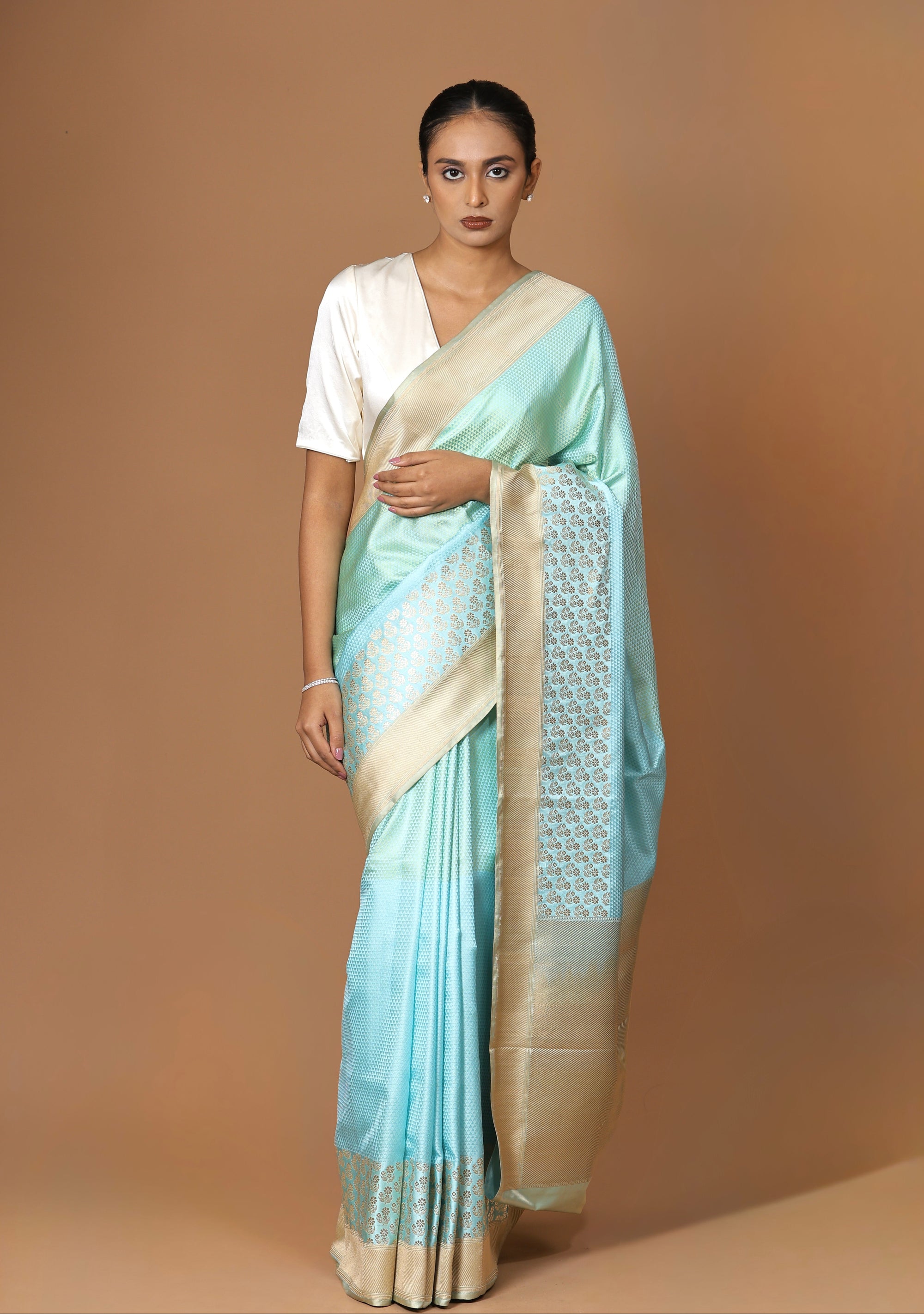 Banarasi handwoven Tanchoi silk sari with contrast border
