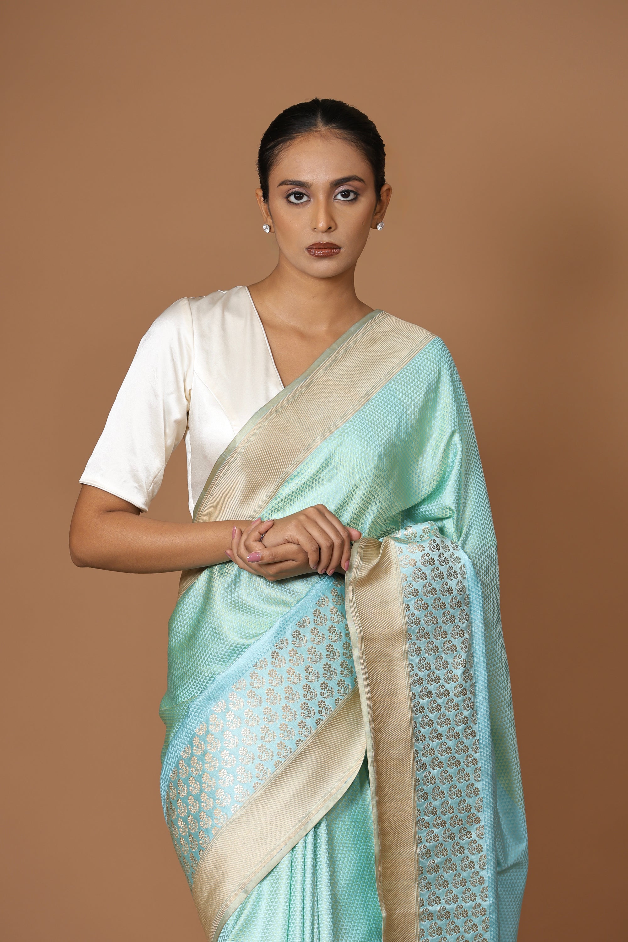Banarasi handwoven Tanchoi silk sari with contrast border
