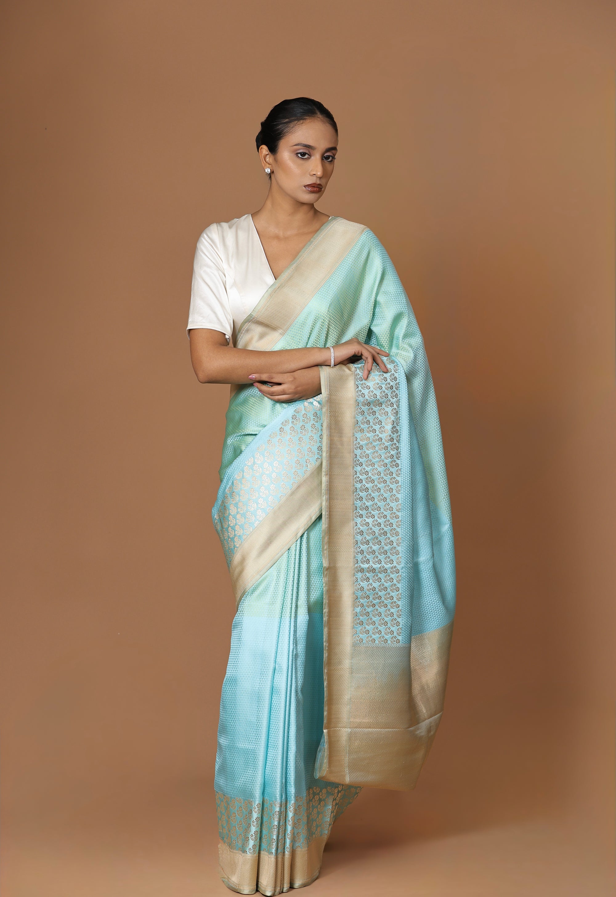 Banarasi handwoven Tanchoi silk sari with contrast border