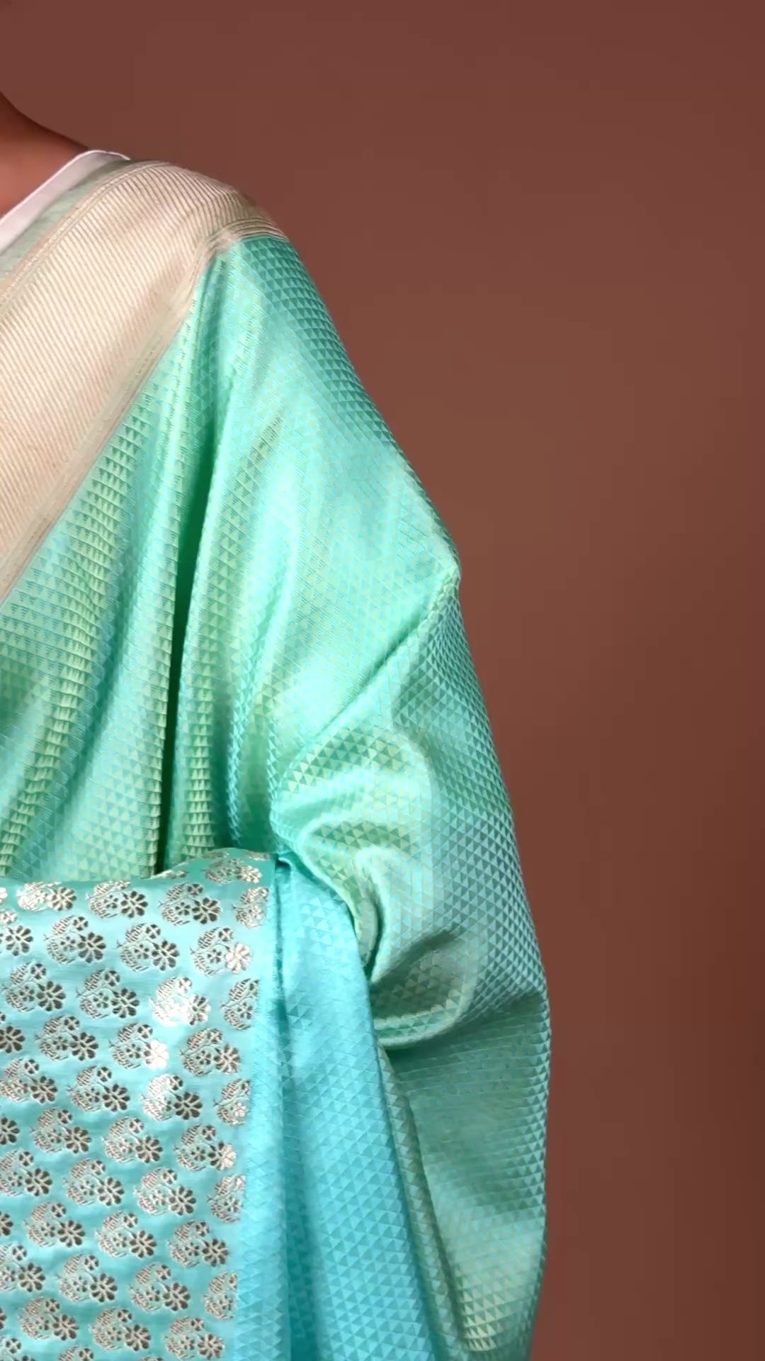 Banarasi handwoven Tanchoi silk sari with contrast border