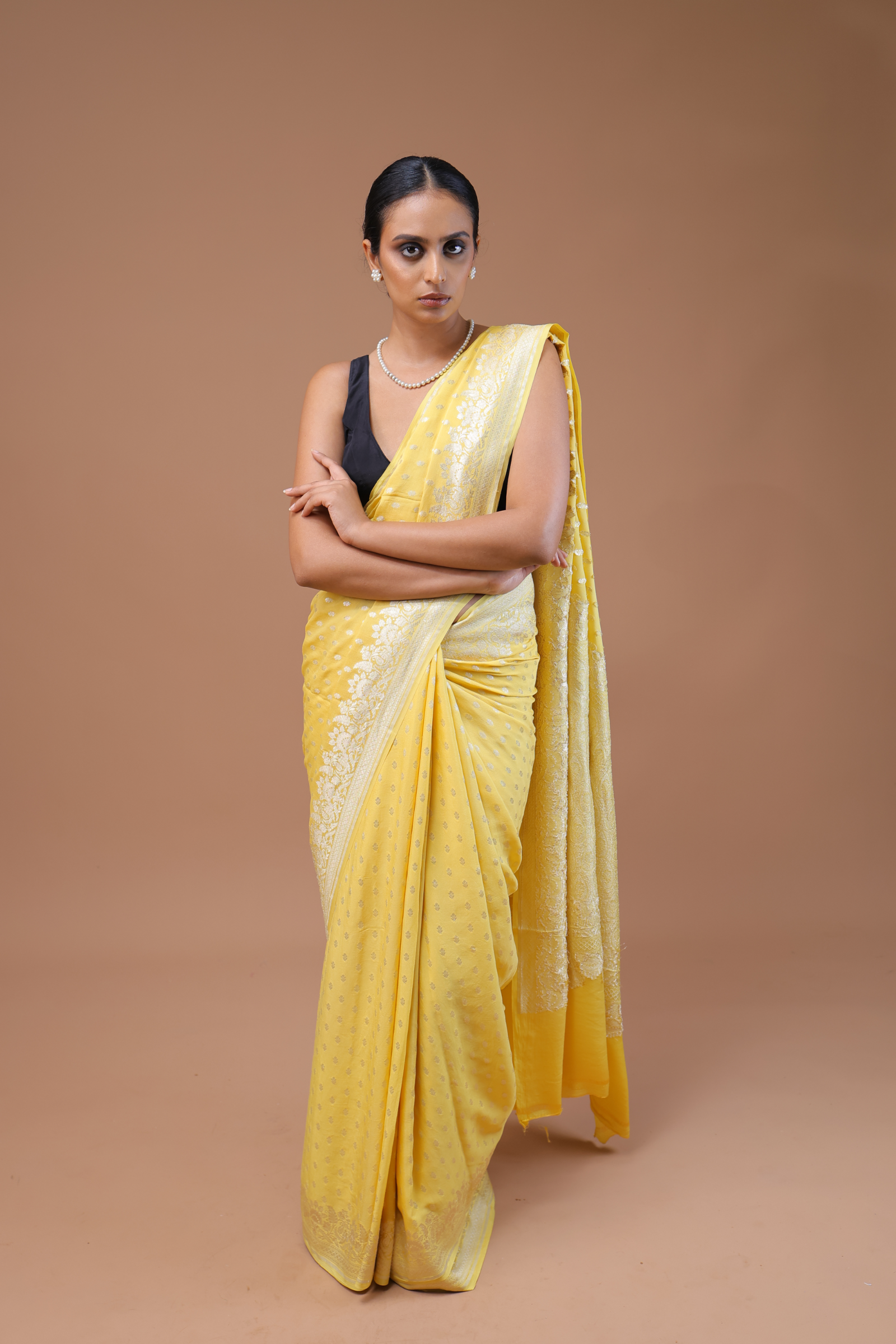 Banarasi Handwoven Khaddi Georgette Sari