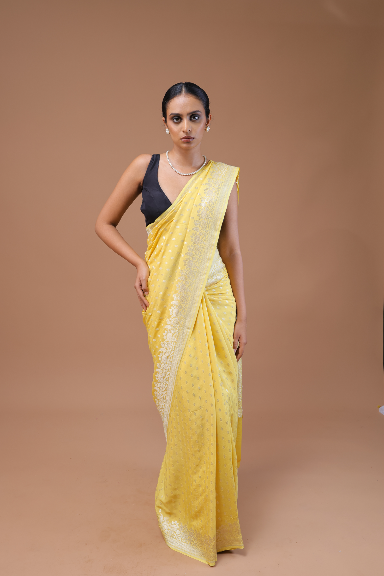 Banarasi Handwoven Khaddi Georgette Sari