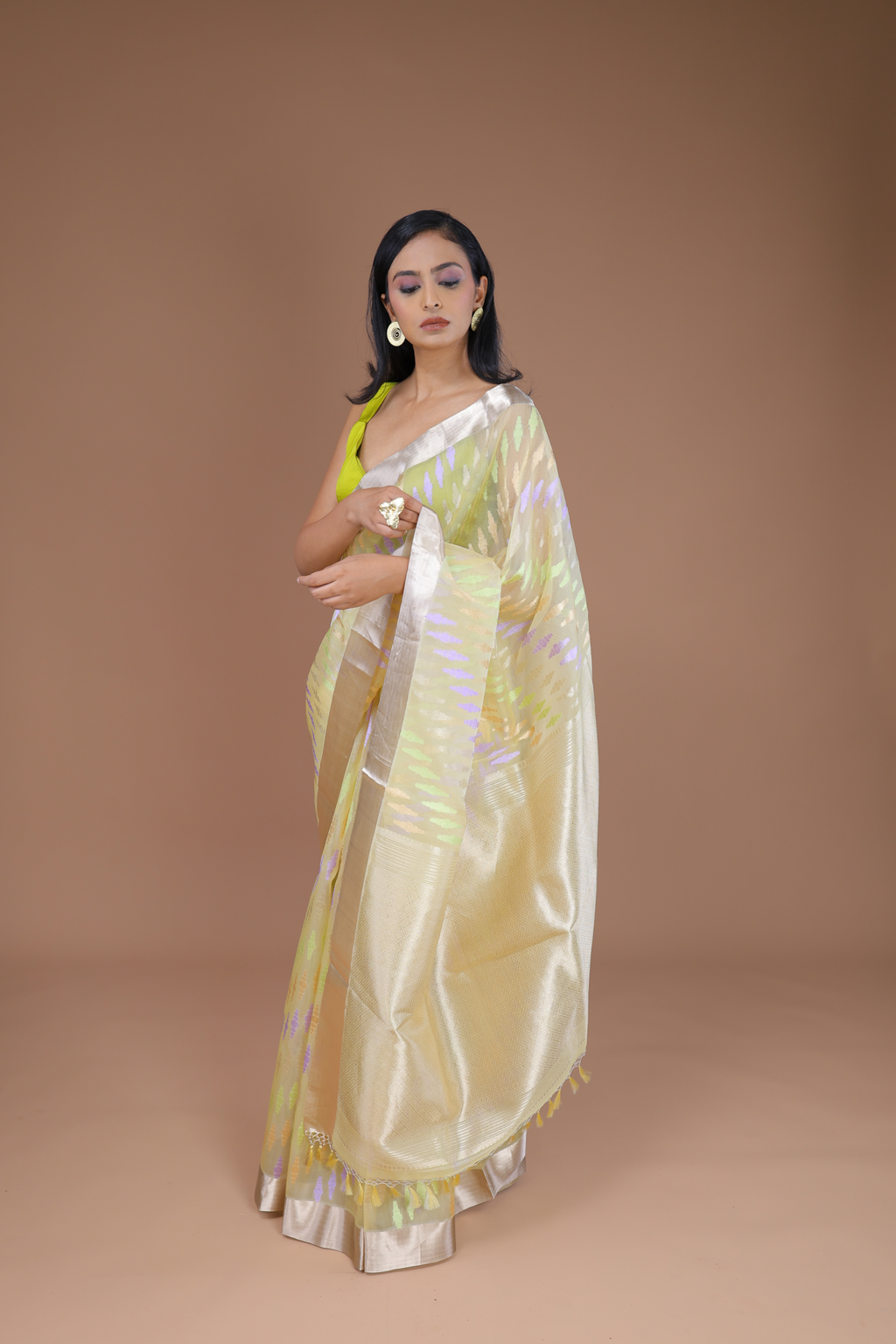 Banarasi Handwoven Kadwa Weave Organza Sari