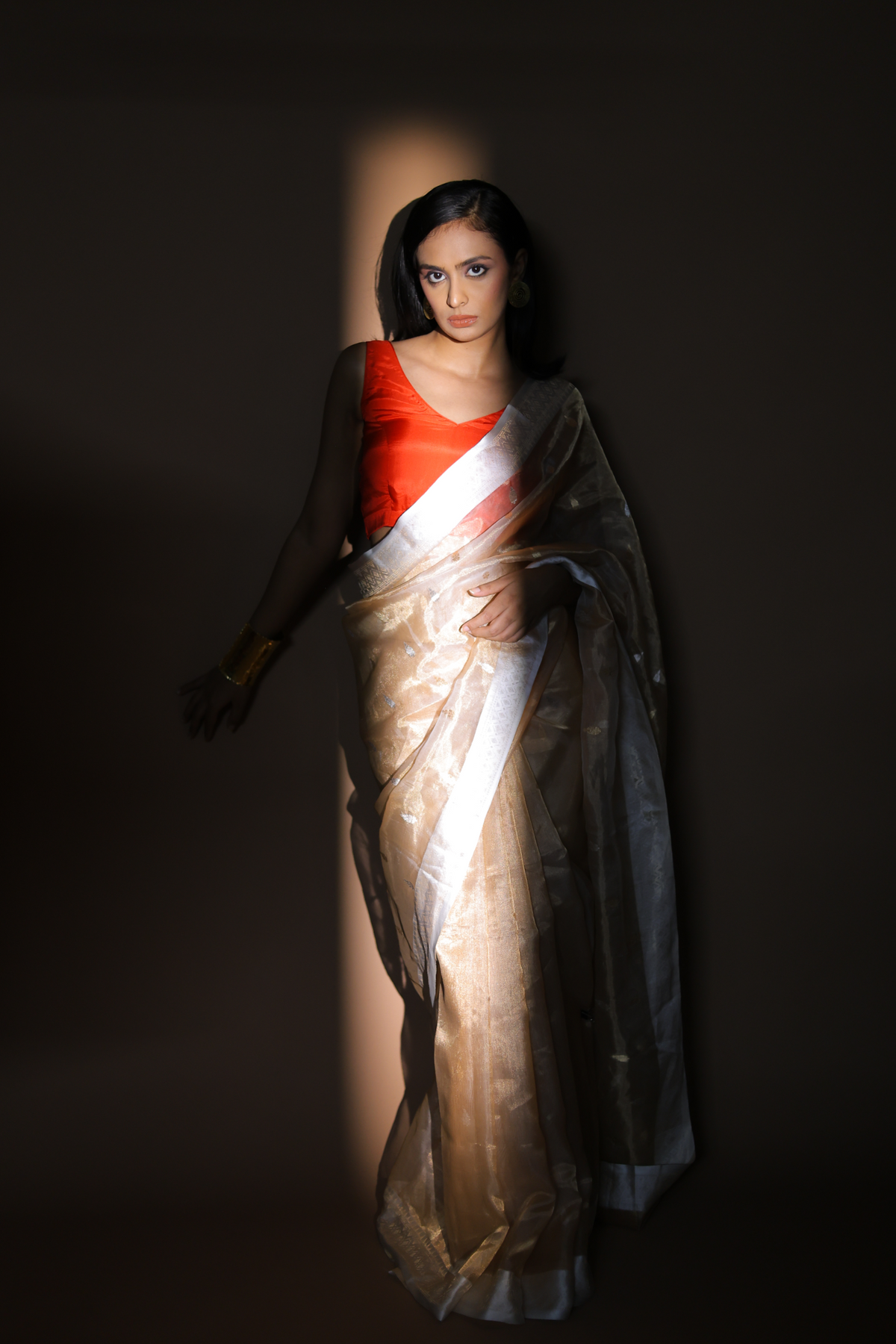 Banarasi Handwoven Tissue Organza Sari