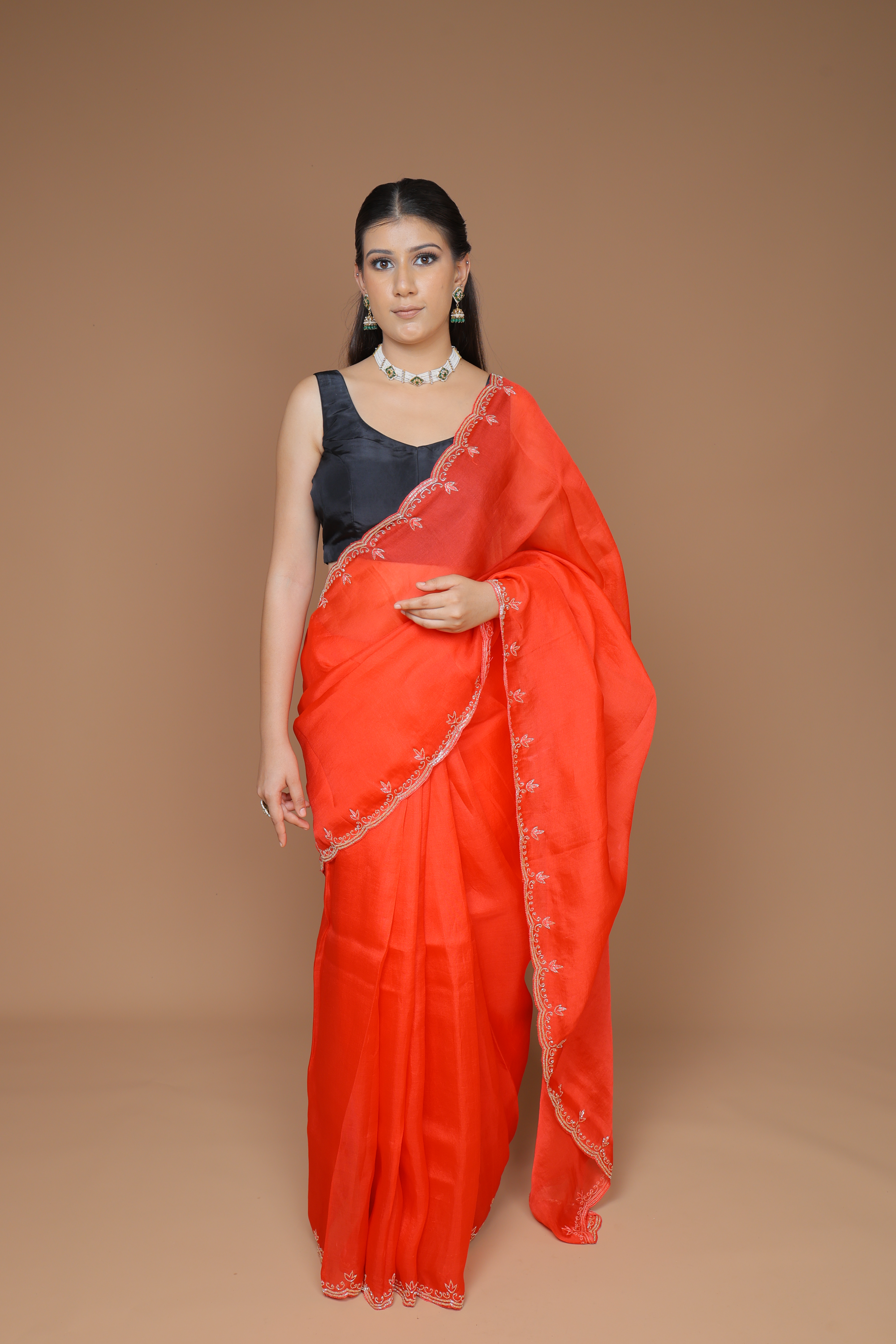 Handwoven Organza Sari with Hand Embroidery