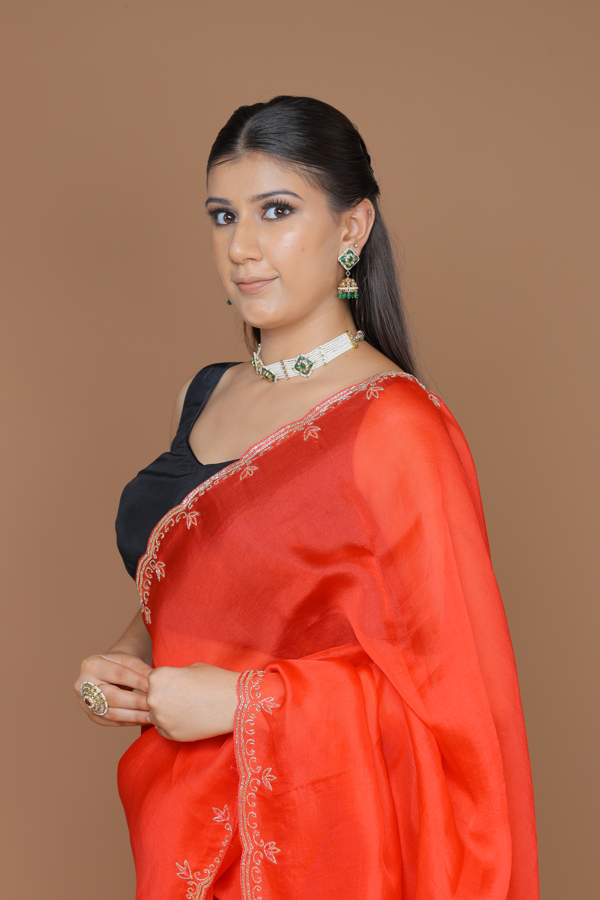 Handwoven Organza Sari with Hand Embroidery