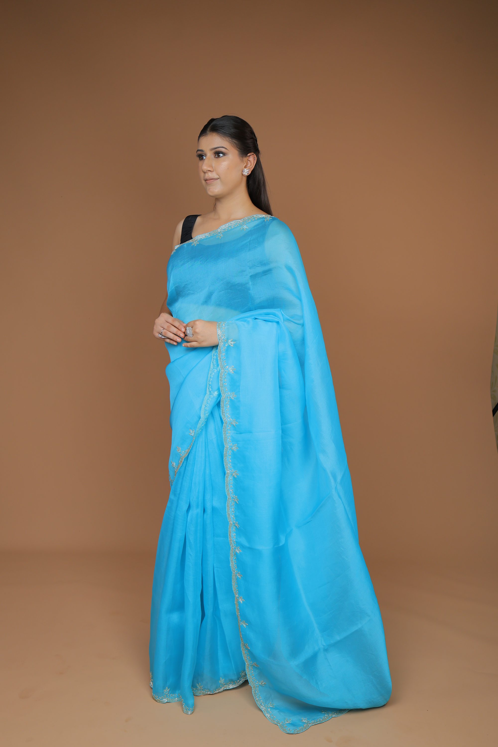 Handwoven Organza Sari with Hand Embroidery