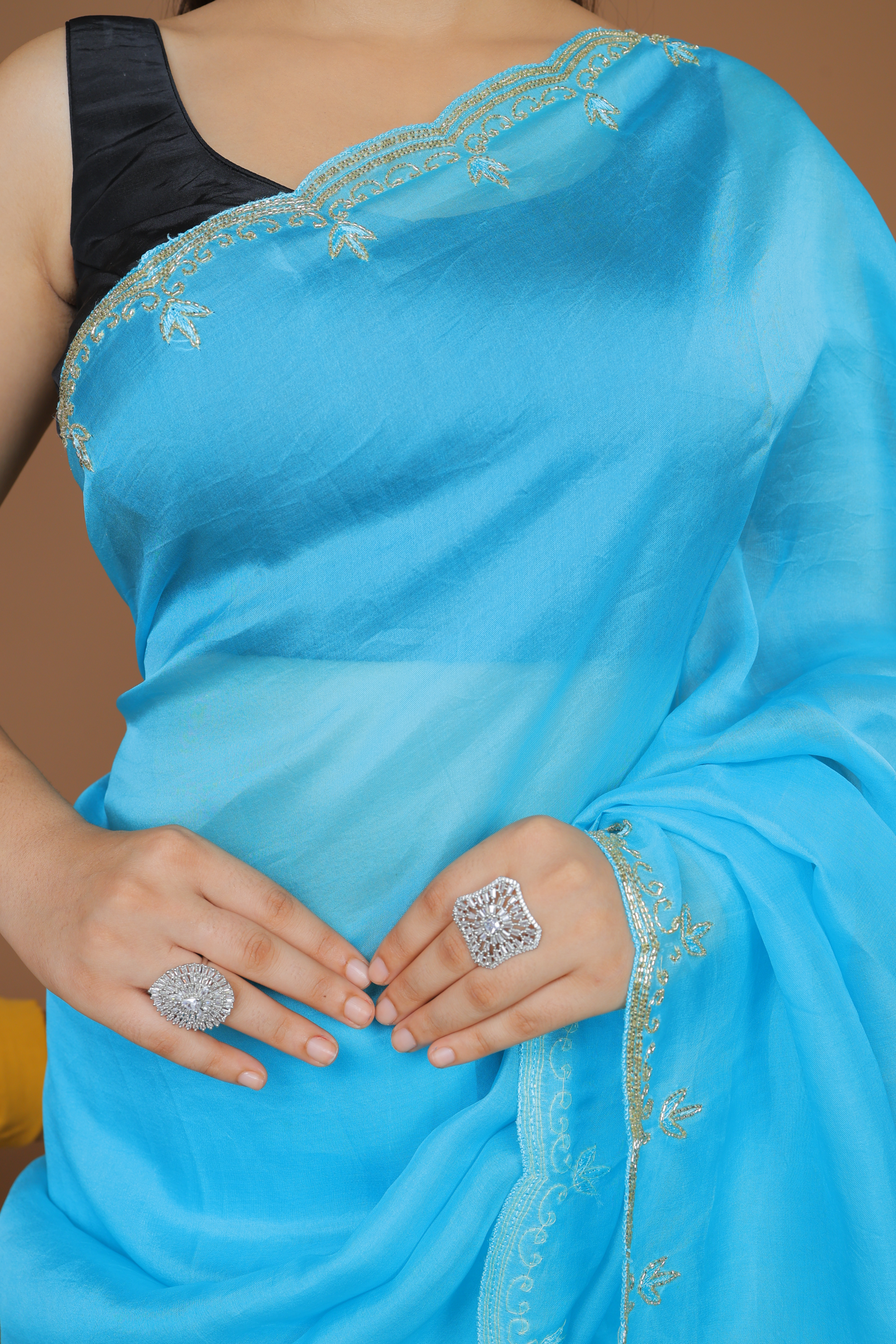 Handwoven Organza Sari with Hand Embroidery