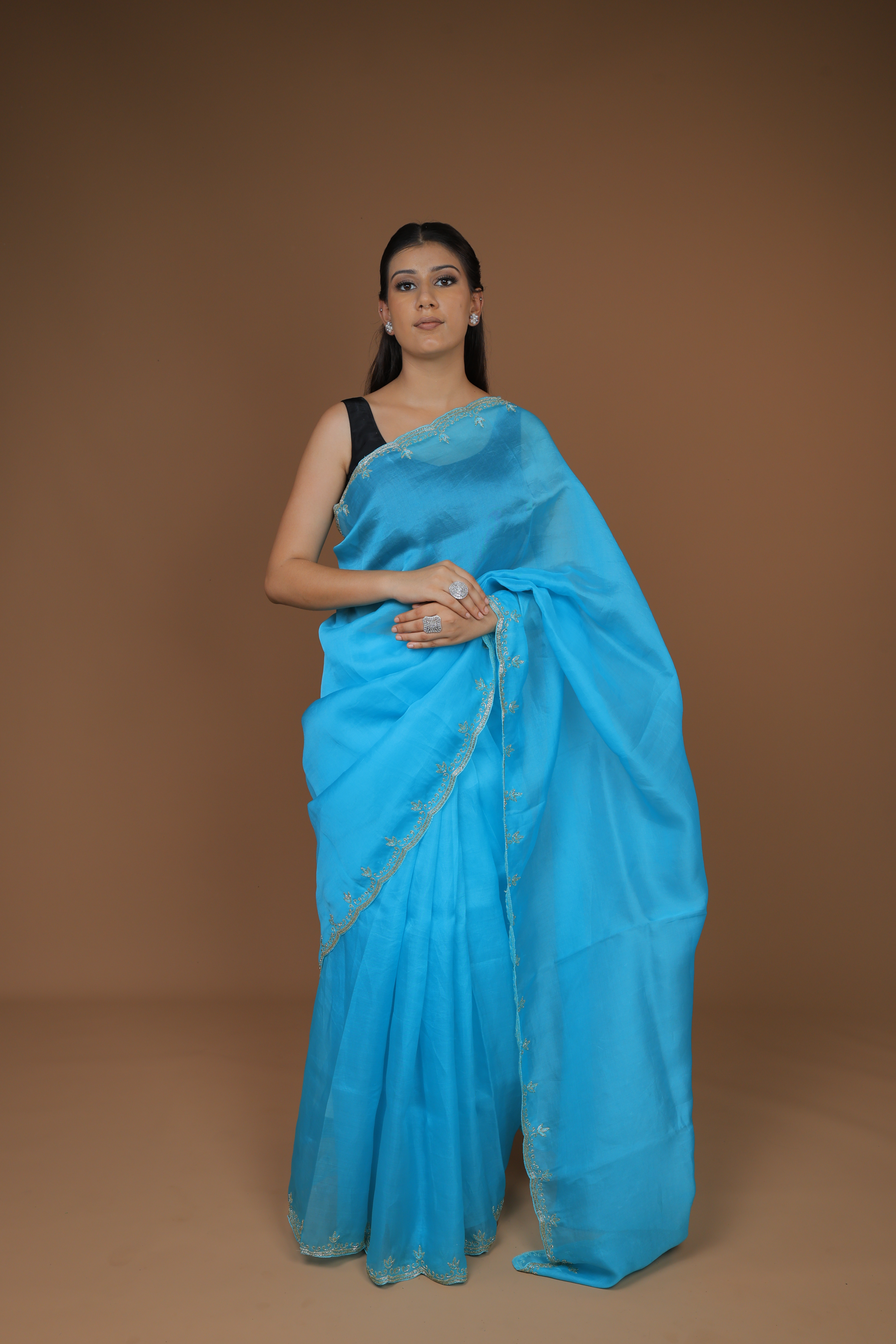 Handwoven Organza Sari with Hand Embroidery