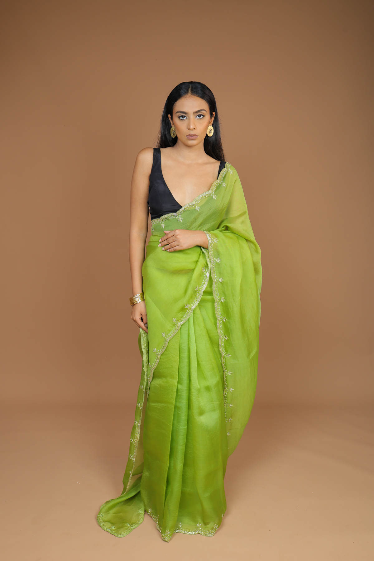 Handwoven Organza Sari with Hand Embroidery