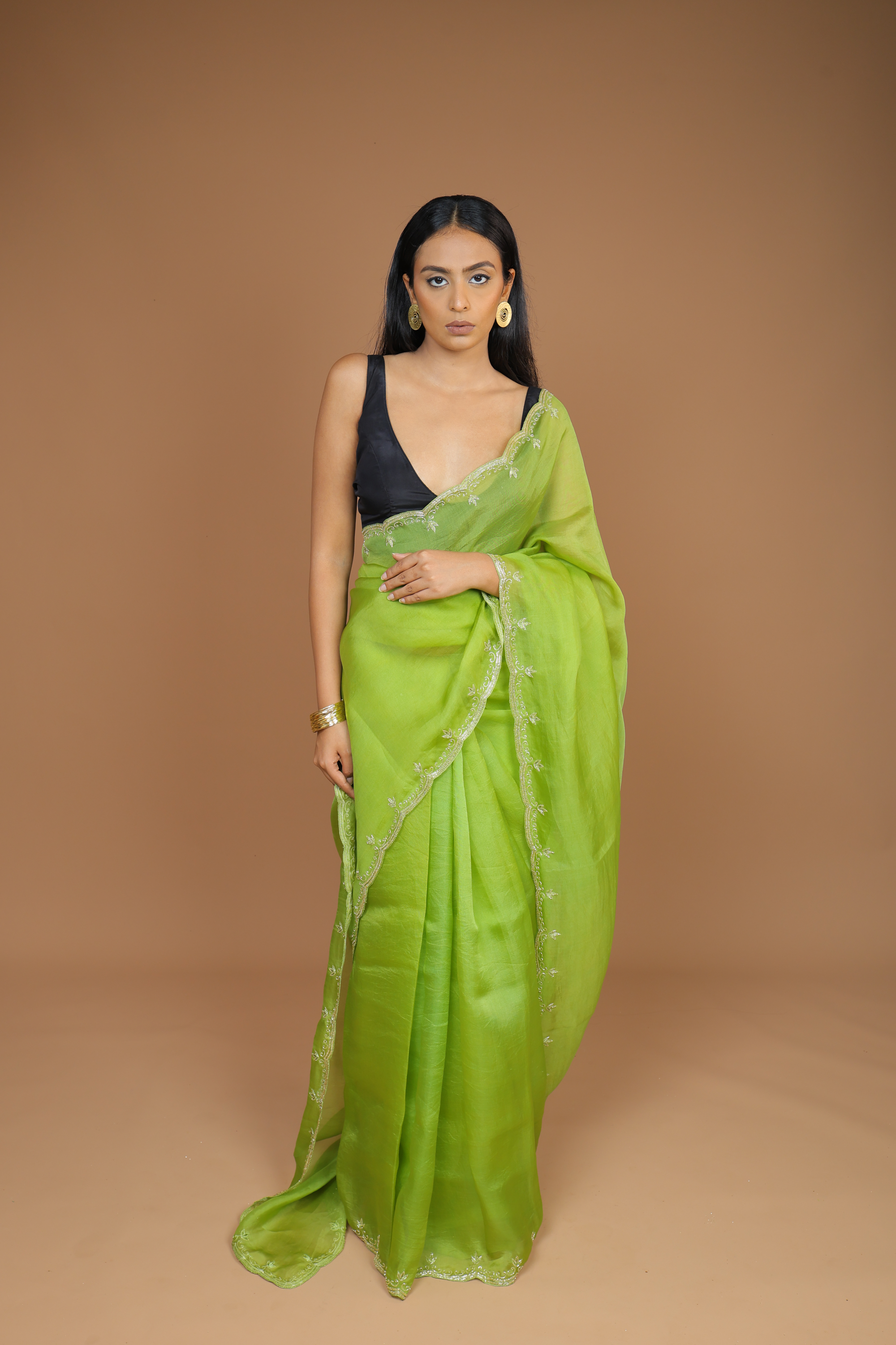 Handwoven Organza Sari with Hand Embroidery