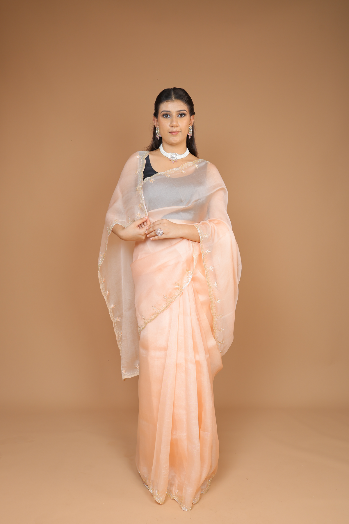 Handwoven Organza Sari with Hand Embroidery