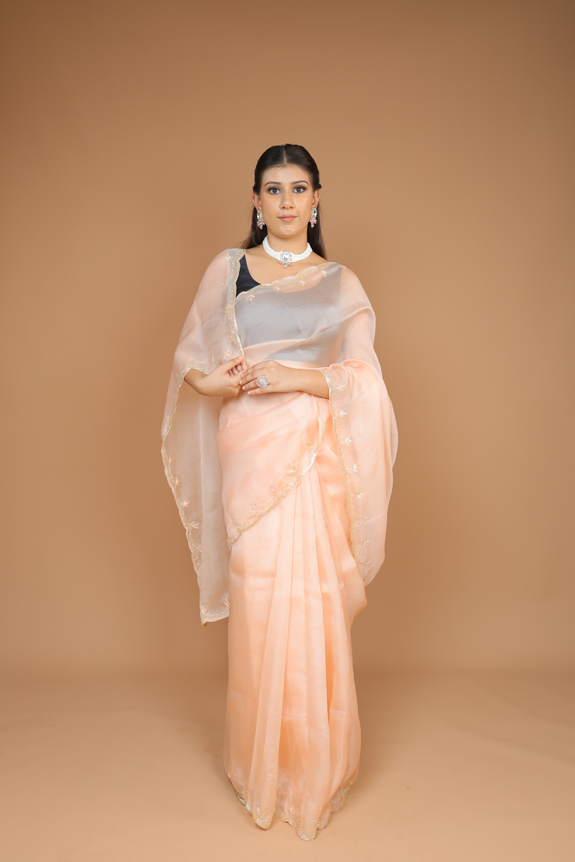 Handwoven Organza Sari with Hand Embroidery
