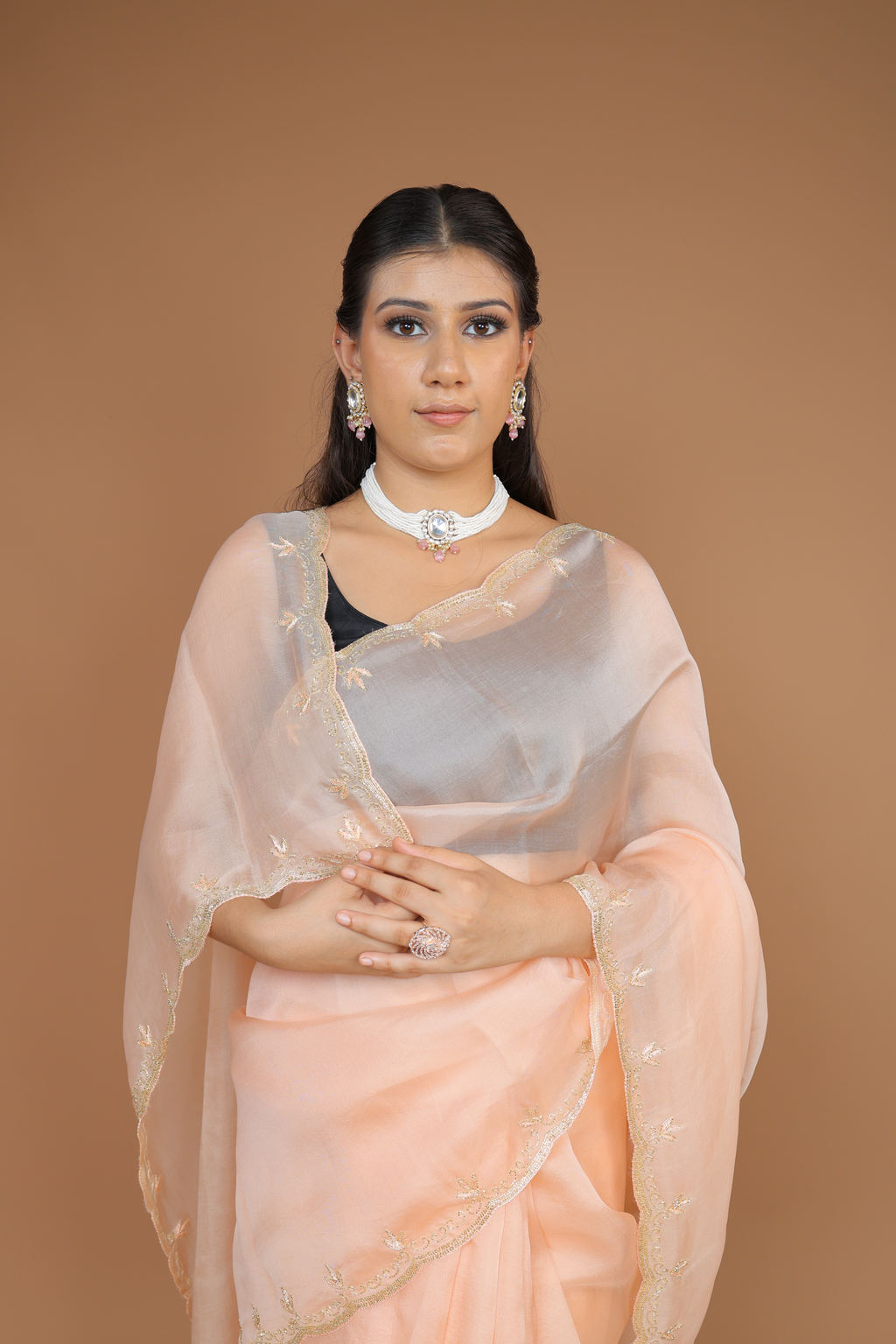 Handwoven Organza Sari with Hand Embroidery