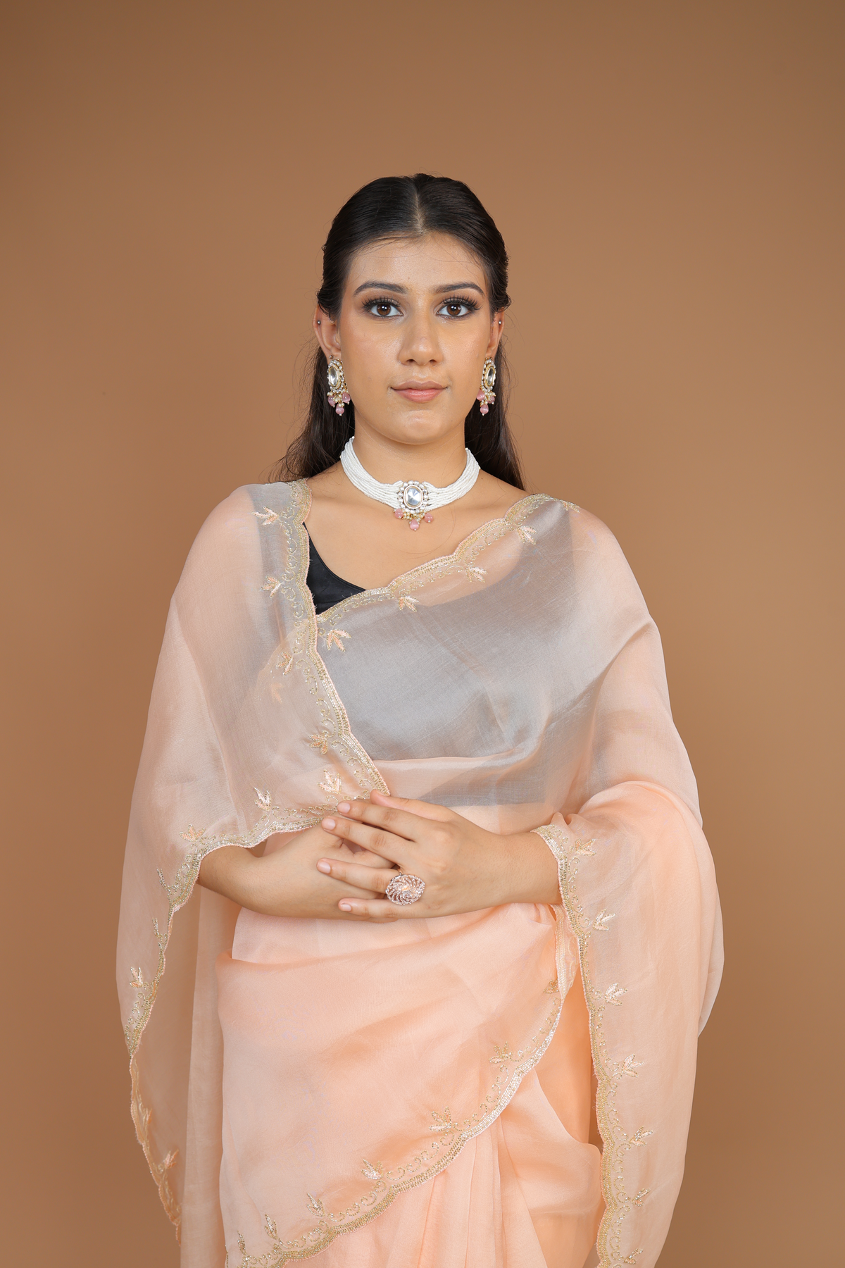 Handwoven Organza Sari with Hand Embroidery