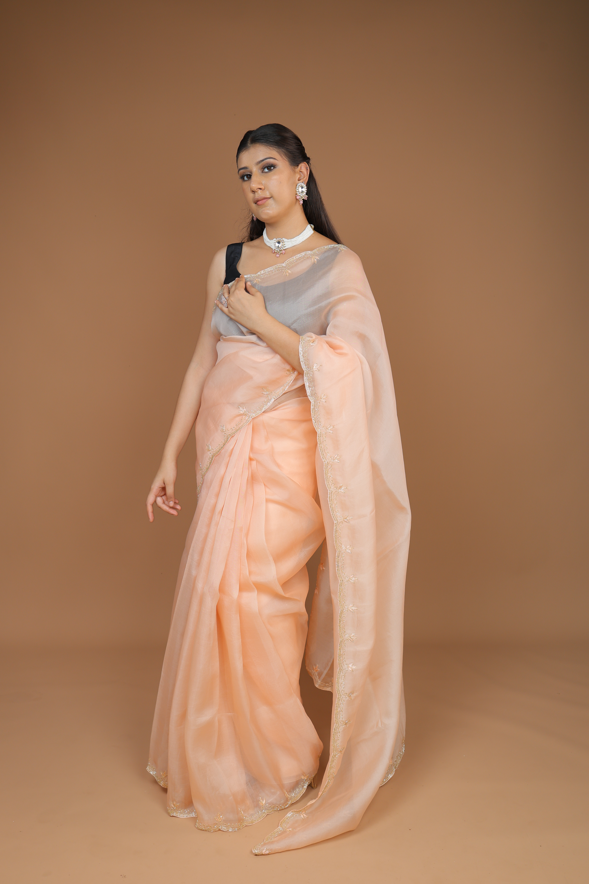 Handwoven Organza Sari with Hand Embroidery