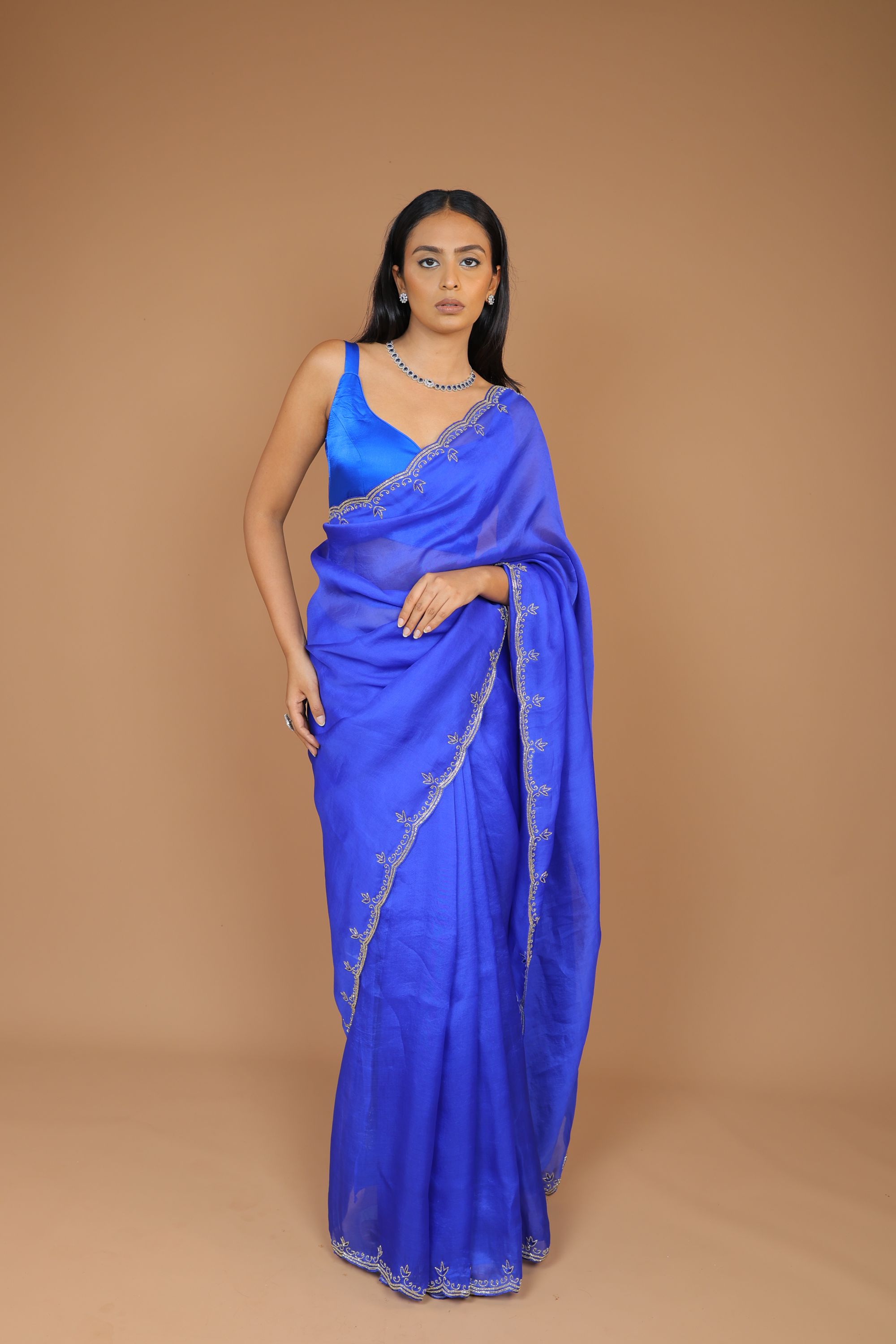 Handwoven Organza Sari with Hand Embroidery