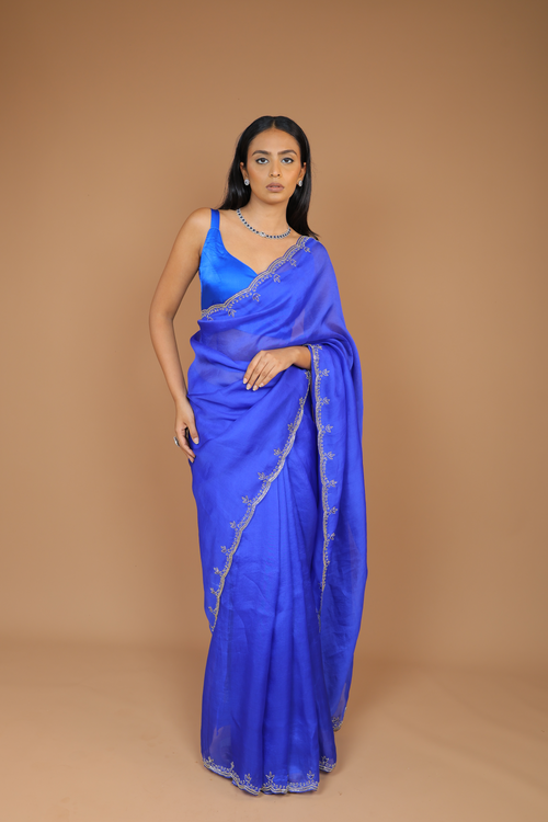 Handwoven Organza Sari with Hand Embroidery