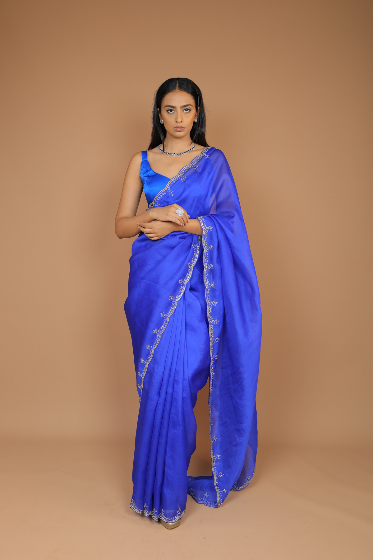 Handwoven Organza Sari with Hand Embroidery