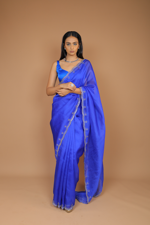 Handwoven Organza Sari with Hand Embroidery