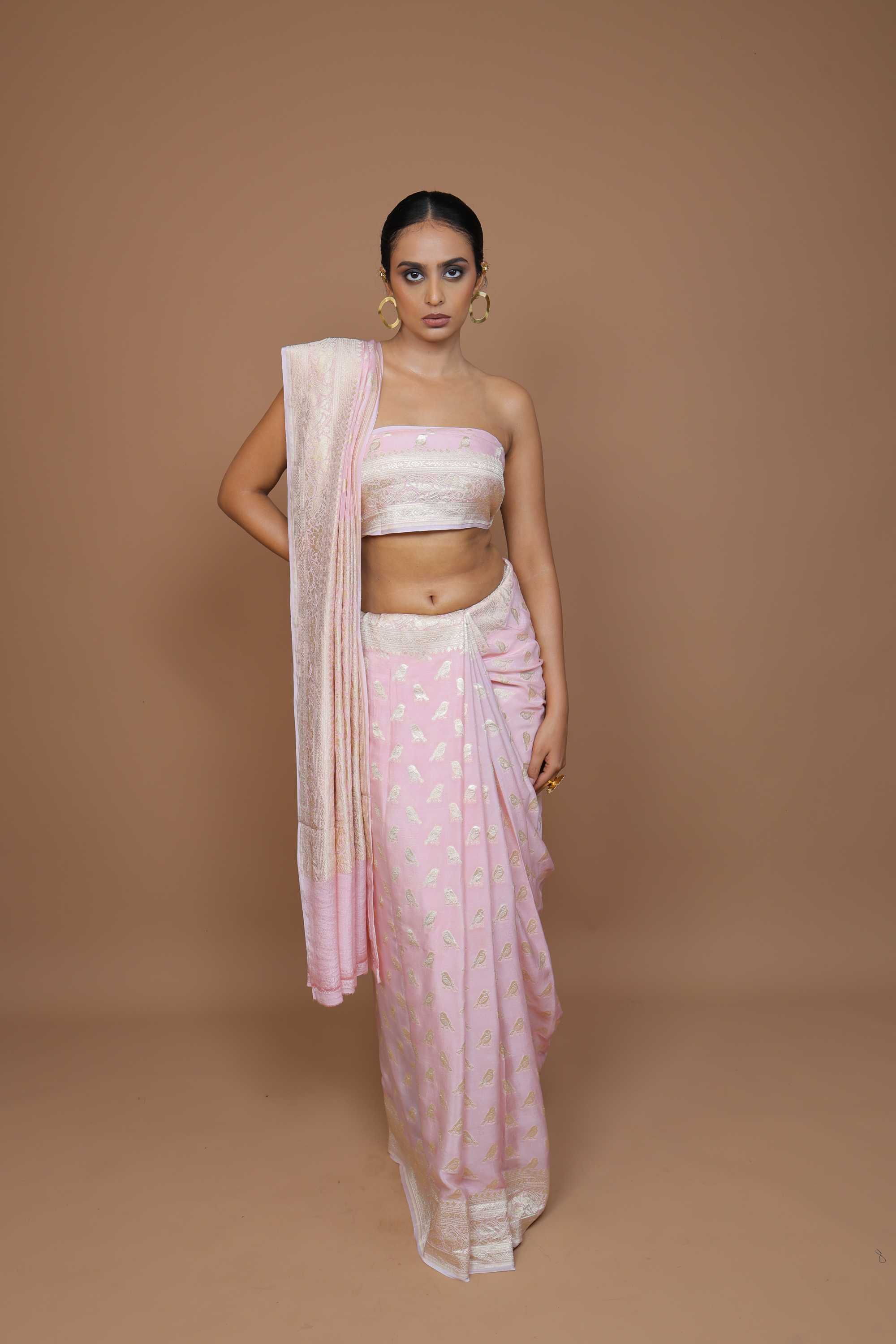 Banarasi Handwoven Crepe Georgette Sari