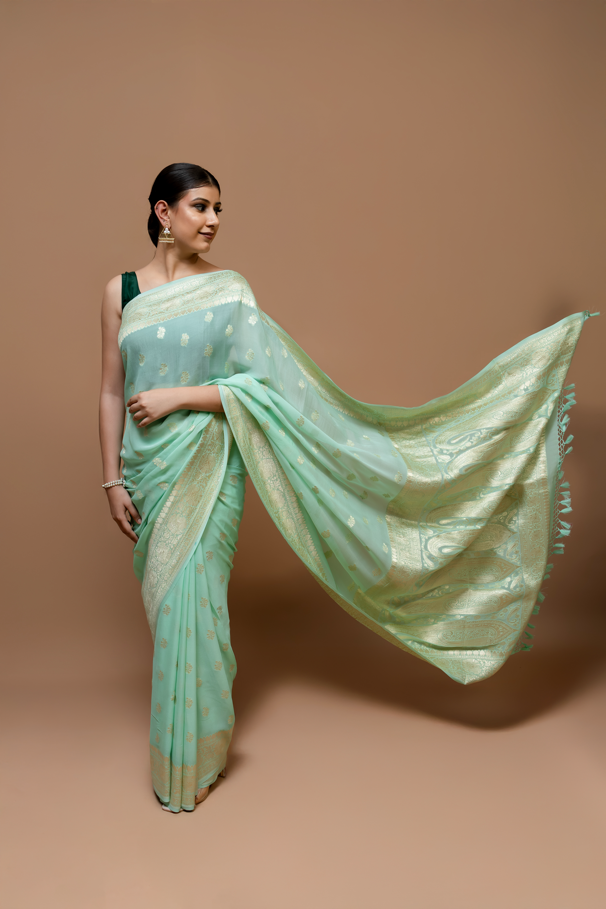 Banarasi Handwoven Khaddi Georgette Sari