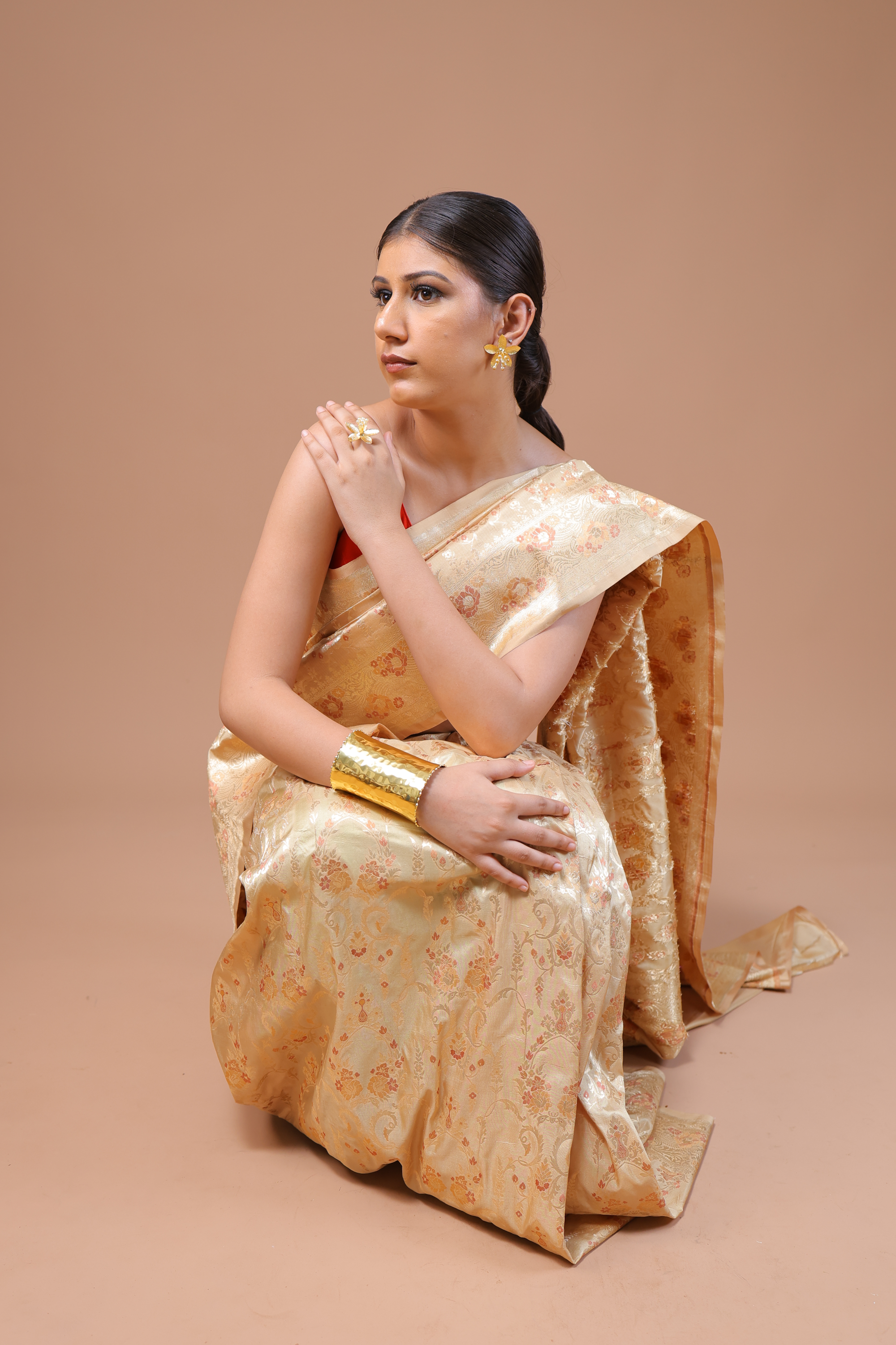 Banarasi Handwoven Silk Meenakari Sari
