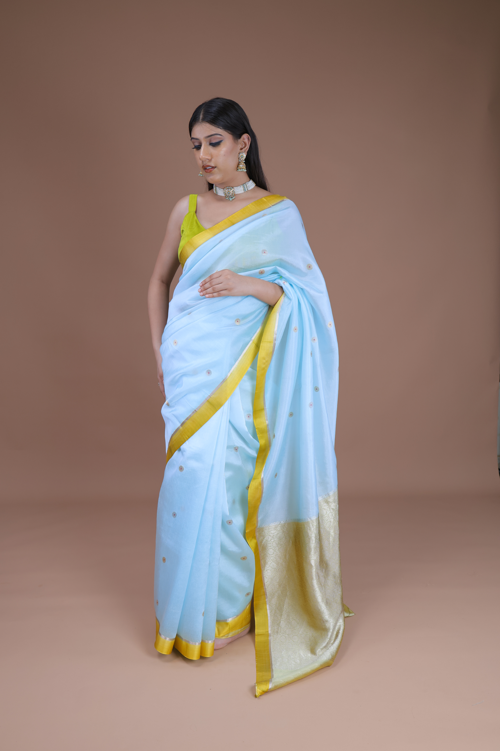 Handwoven Cotton Silk Sari With Meenakari